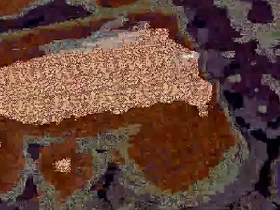 Dick videotape gay porn big booty chinese