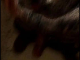 JAPANESE WOMAN cade maddox asian gay porn